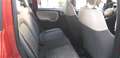 Fiat Panda Panda 1.3 mjt 16v 4x4 75cv Ok Neo-Patentati Rosso - thumbnail 11