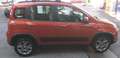 Fiat Panda Panda 1.3 mjt 16v 4x4 75cv Ok Neo-Patentati Rosso - thumbnail 8
