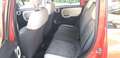 Fiat Panda Panda 1.3 mjt 16v 4x4 75cv Ok Neo-Patentati Rosso - thumbnail 12