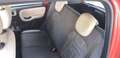 Fiat Panda Panda 1.3 mjt 16v 4x4 75cv Ok Neo-Patentati Rosso - thumbnail 13