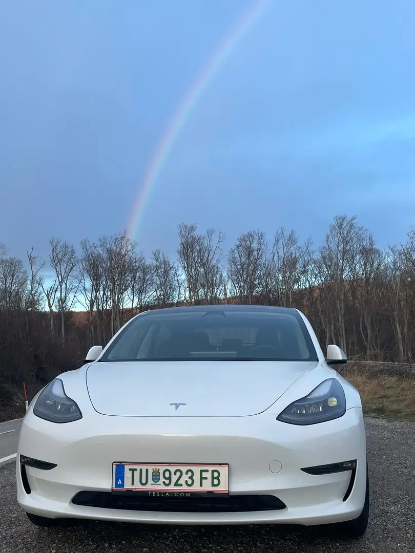 Tesla Model 3 Model 3 Performance AWD 57,5kWh Weiß - 2