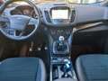 Ford Kuga 1.5 ecoboost ST-Line 150cv Benzina Gris - thumbnail 8