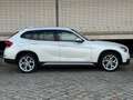 BMW X1 25 d xDrive Leder*NAVI*PDC Blanco - thumbnail 19
