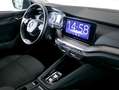 Skoda Octavia 4x4 Ambition TDI DSG Grau - thumbnail 12