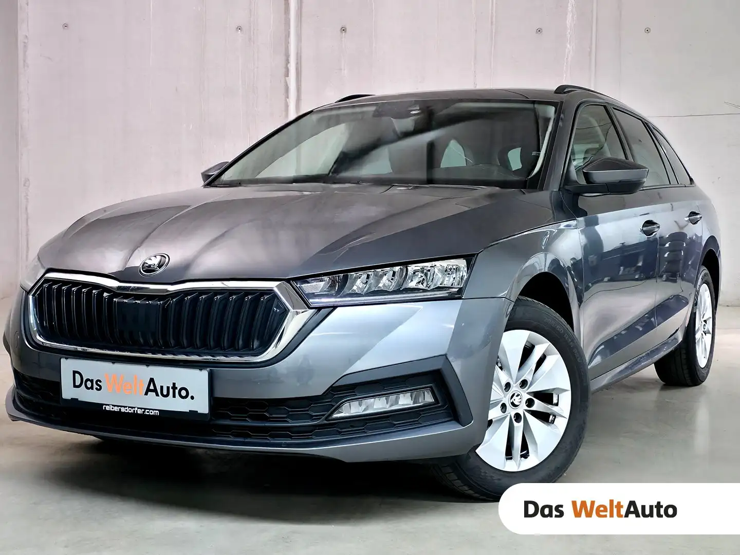 Skoda Octavia 4x4 Ambition TDI DSG Grau - 1