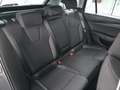 Skoda Octavia 4x4 Ambition TDI DSG Grau - thumbnail 14
