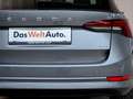 Skoda Octavia 4x4 Ambition TDI DSG Grau - thumbnail 6