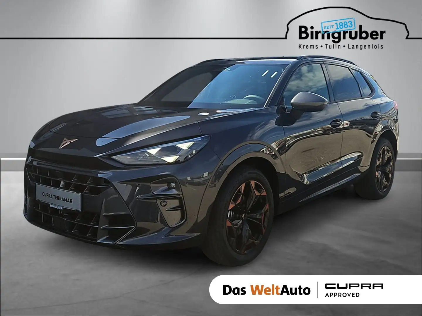 CUPRA Terramar 1.5 e-TSI 150 PS DSG Grau - 1