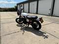 Moto Guzzi V 7 Stornello Wit - thumbnail 15