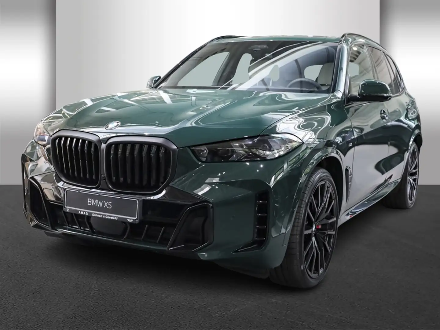 BMW X5 xDrive40d Navi Leder Glasdach LED Scheinwerfer Blu - 2