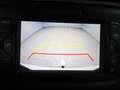 Kia Ceed SW / cee'd SW Ceed Sportswagon Attract | KEIN TÜV! Blanco - thumbnail 13