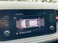 Skoda Fabia 1.0 TSI DSG Monte Carlo LED/PDC/SHZ/K Grey - thumbnail 9