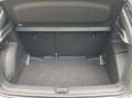Skoda Fabia 1.0 TSI DSG Monte Carlo LED/PDC/SHZ/K Grey - thumbnail 13
