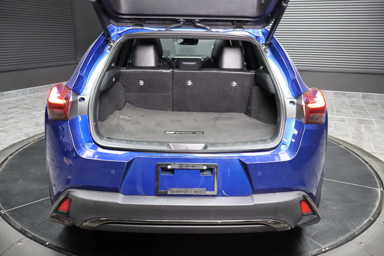 Lexus NX снимка Lexus NX