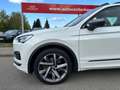 SEAT Tarraco FR 4Drive*PANO*360°KAM.*ACC*VIRTUAL Weiß - thumbnail 14