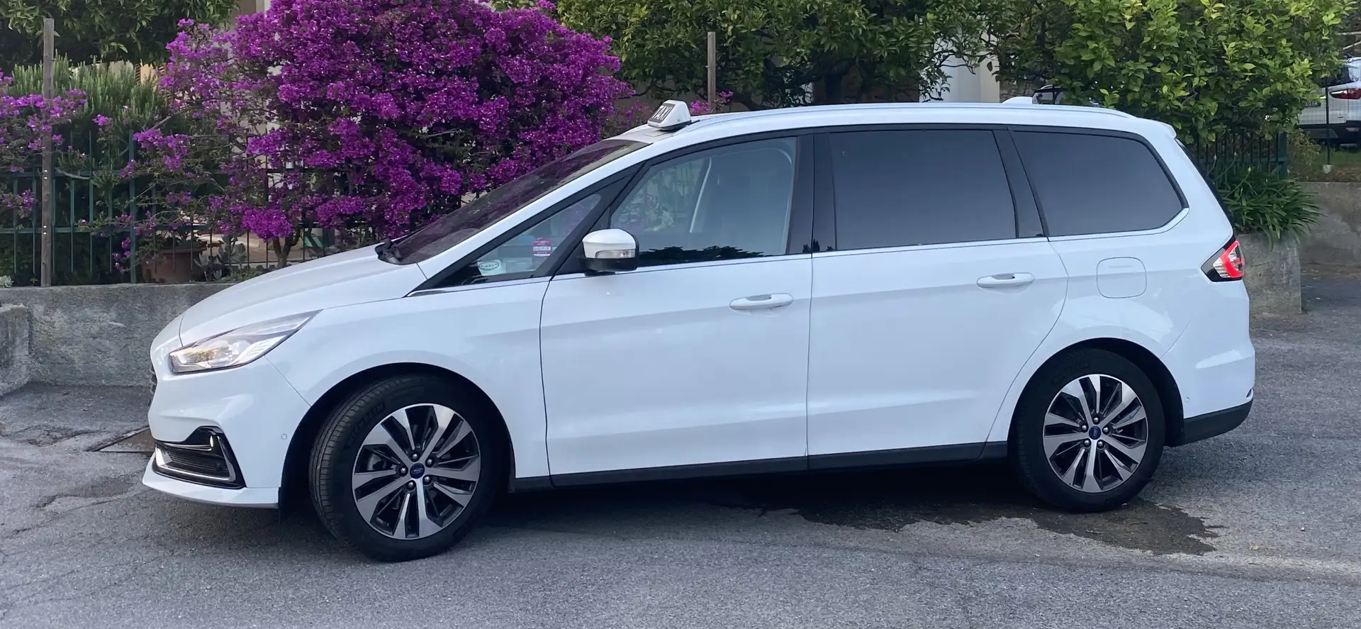Ford Galaxy 2.0 ecoblue Titanium Business s&s 150cv auto my20 - 1