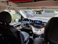 Mercedes-Benz V 300 d lang 4 Matic  Marco Polo mit Küche Roşu - thumbnail 4