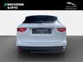 Jaguar F-Pace 20d AWD Chequered Flag Auto/360°RFK/DAB+ Weiß - thumbnail 7