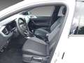 Volkswagen Polo 1.0 l TSI Goal *LED*SHZG*ACC* Weiß - thumbnail 8