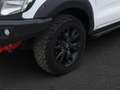 Ford Ranger Autm. Wildtrak AHK 2ZKlima Allrad White - thumbnail 10