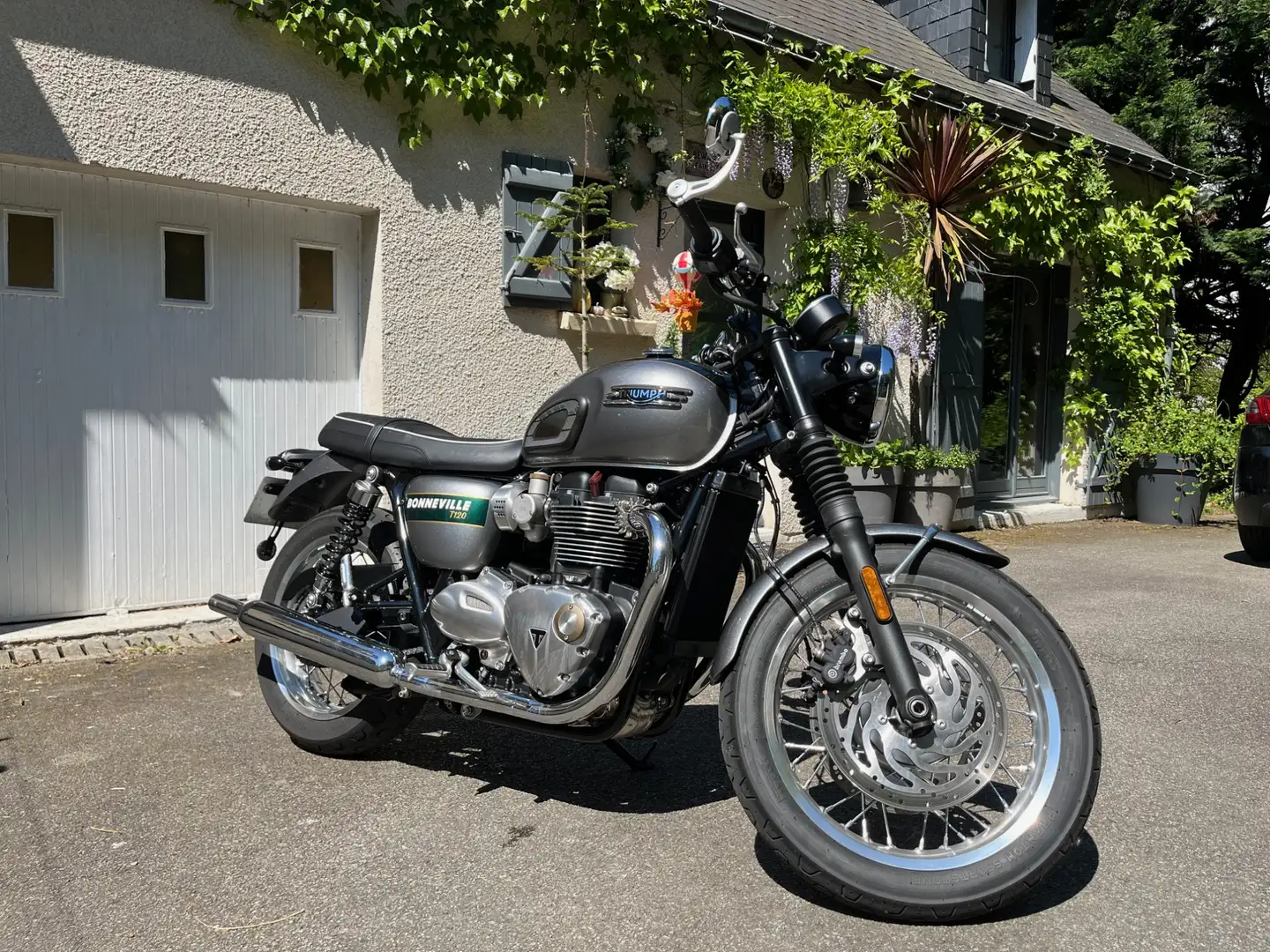 Triumph Bonneville T100 Green - 1