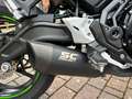 Kawasaki Ninja 650 UNICO PROPRIETARIO - DEPOTENZIATA A LIBRETTO Zielony - thumbnail 6
