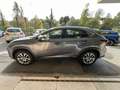 Lexus NX 300 NX 300h 2.5 Business 4wd CVT *Promo SD 2025 Grigio - thumbnail 4