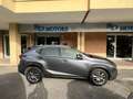 Lexus NX 300 NX 300h 2.5 Business 4wd CVT *Promo SD 2025 Grigio - thumbnail 7