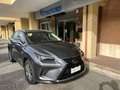Lexus NX 300 NX 300h 2.5 Business 4wd CVT *Promo SD 2025 Grigio - thumbnail 8
