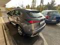 Lexus NX 300 NX 300h 2.5 Business 4wd CVT *Promo SD 2025 Grigio - thumbnail 5