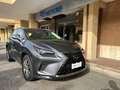 Lexus NX 300 NX 300h 2.5 Business 4wd CVT *Promo SD 2025 Grigio - thumbnail 1