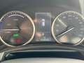 Lexus NX 300 NX 300h 2.5 Business 4wd CVT *Promo SD 2025 Grigio - thumbnail 11