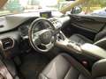 Lexus NX 300 NX 300h 2.5 Business 4wd CVT *Promo SD 2026 Grau - thumbnail 16