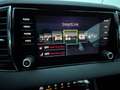 Skoda Karoq 1,6 TDI Ambition Limited Grau - thumbnail 15