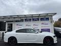 Dodge Charger 5.7 #Aut.#*Navi*Leder*Xenon*Kamera*PDC* Weiß - thumbnail 4