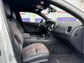 Dodge Charger 5.7 #Aut.#*Navi*Leder*Xenon*Kamera*PDC* Weiß - thumbnail 10