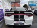 Dodge Charger 5.7 #Aut.#*Navi*Leder*Xenon*Kamera*PDC* Weiß - thumbnail 6