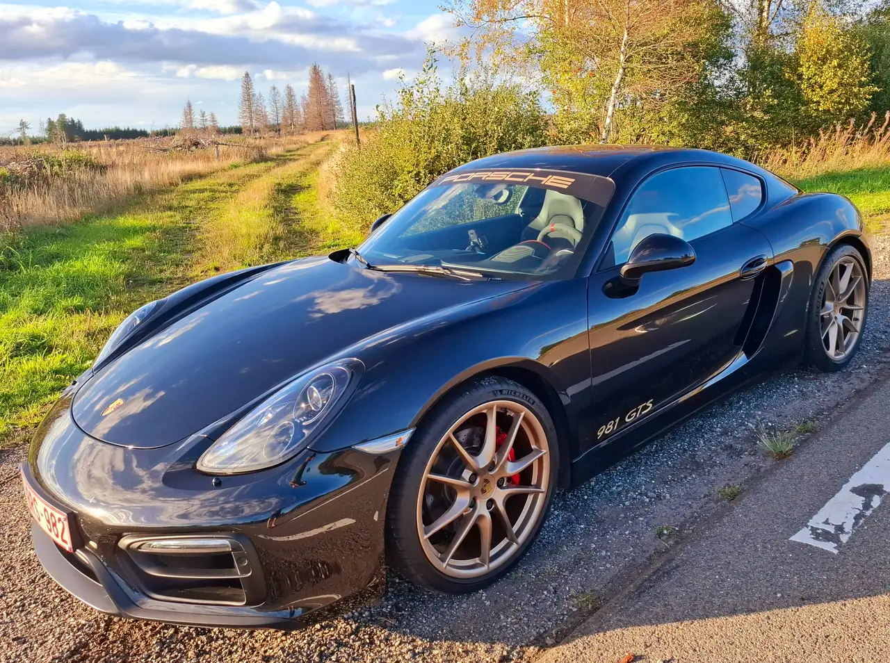 Porsche Cayman