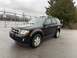 Ford Escape снимка Ford Escape