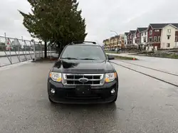 Ford Escape снимка Ford Escape