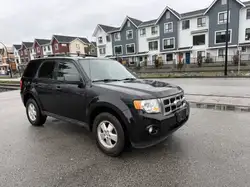 Ford Escape снимка Ford Escape
