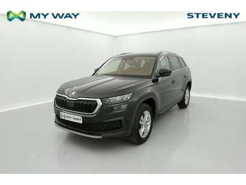 Clever 2,0 TDI 110 kW 7-speed automat.