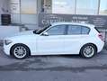 BMW 116 116 d Weiß - thumbnail 8