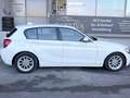 BMW 116 116 d Weiß - thumbnail 7