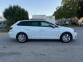 SEAT Leon ST Reference 1,6 TDI Start-Stopp / 1BESITZ / AN... Weiß - thumbnail 7
