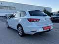SEAT Leon ST Reference 1,6 TDI Start-Stopp / 1BESITZ / AN... Weiß - thumbnail 4