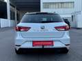 SEAT Leon ST Reference 1,6 TDI Start-Stopp / 1BESITZ / AN... Weiß - thumbnail 5