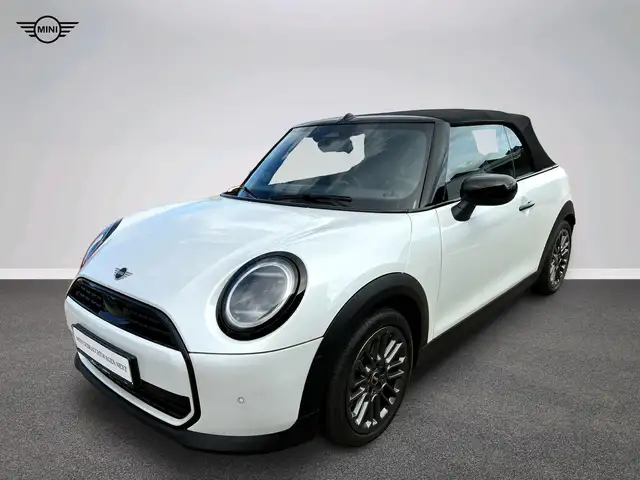 Mini Other Classic Trim