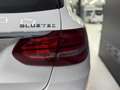 Mercedes-Benz C 220 Estate 220CDI BE Elegance Aut. Blanco - thumbnail 6