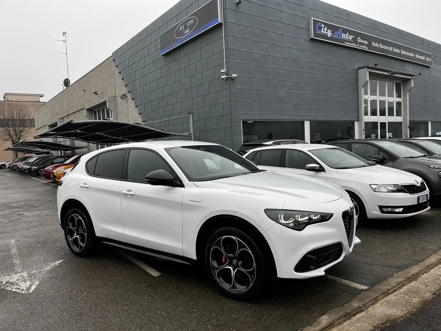 Alfa Romeo Stelvio Stelvio 2.2 t Veloce Q4 210cv auto Blanc - 1